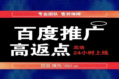 SEM广告创意与执行：成功案例分享